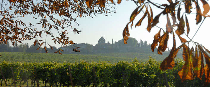 Château Lamohte de Haux